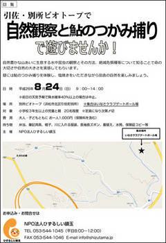 ayutukamidori.jpg